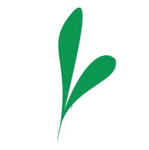 State Ag and Rural Leaders Logo